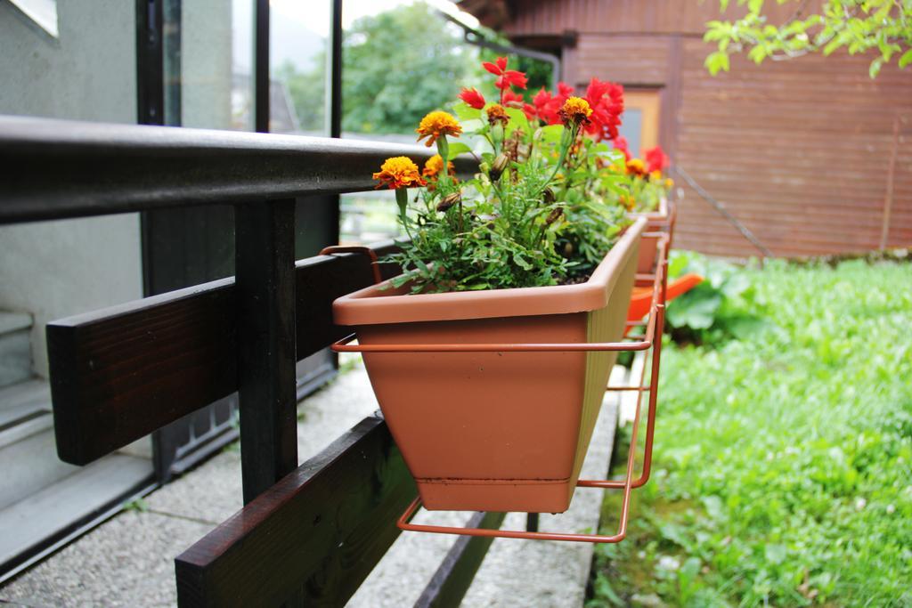 Hostel Hostel Bovec